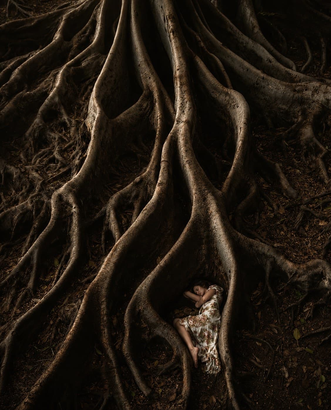 A woman resting in the roots of an ancient tree