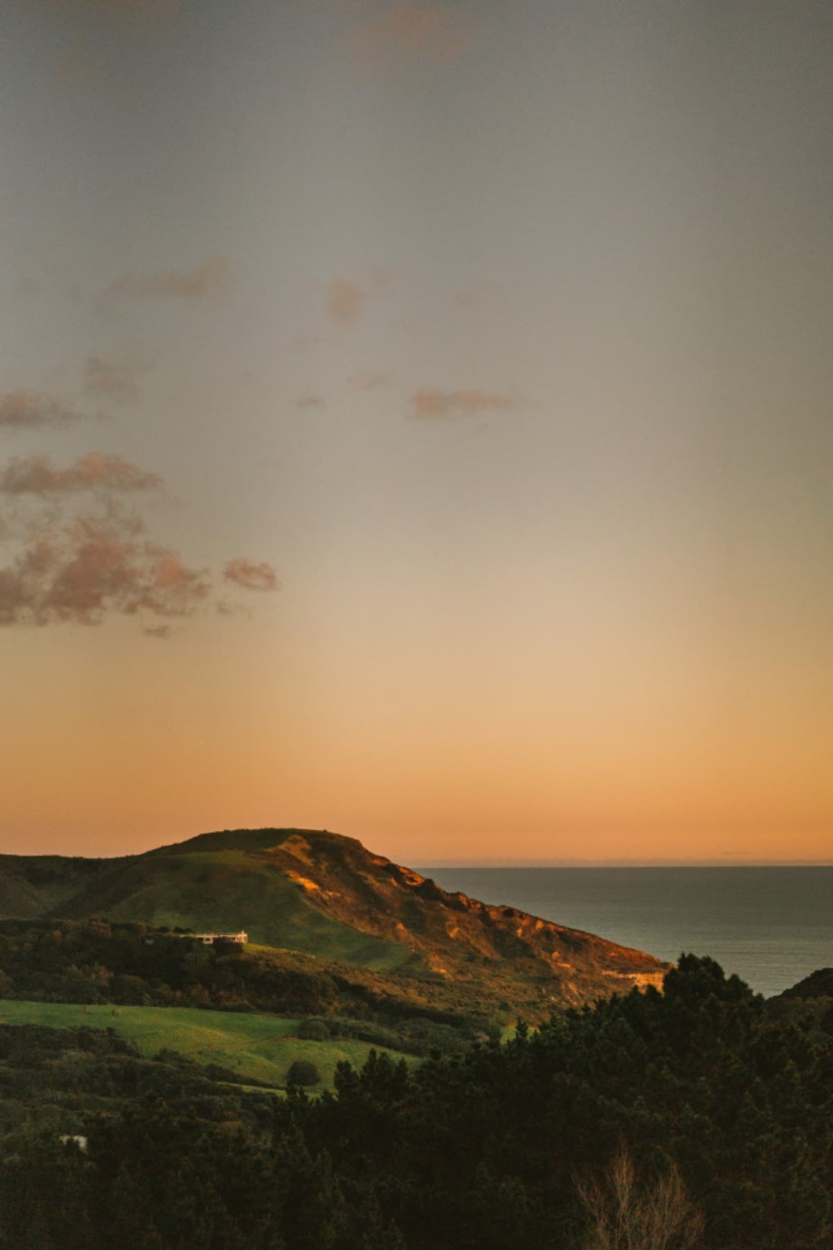 Open skies above the native landscape surrounding Kula Muriwai